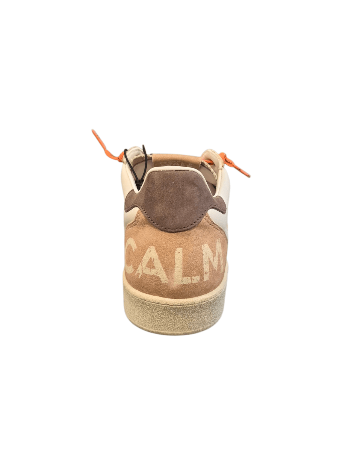 20260212_190731 (3)_resized